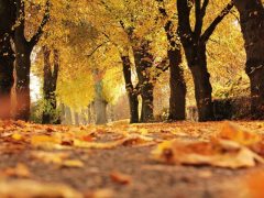 Au rendez-vous de Dieu Au rendez-vous de Dieu